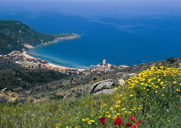 giglio island - Campese